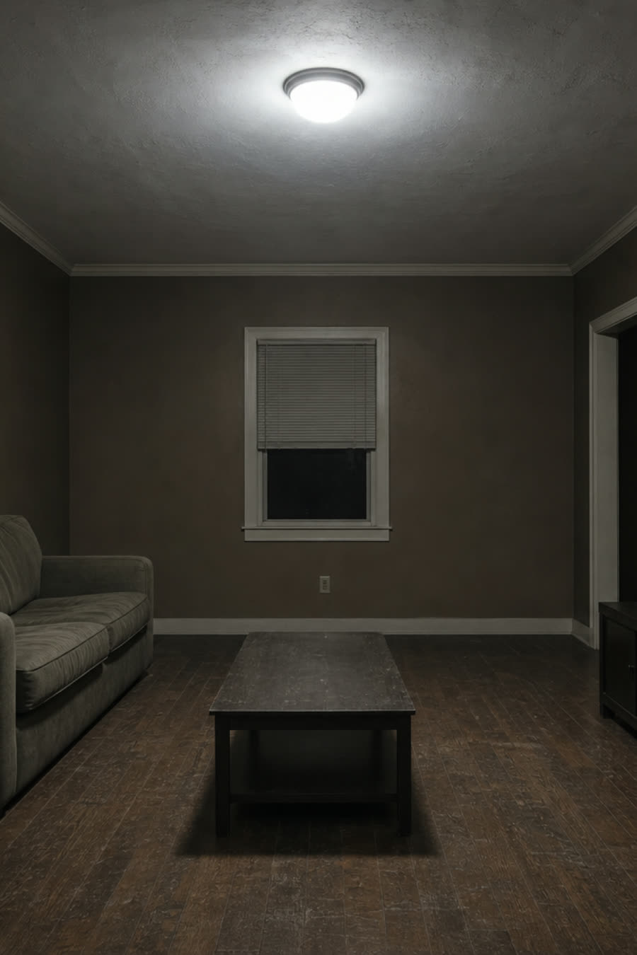 A living room lit only by one cold ceiling fixture: even, grey, flat.