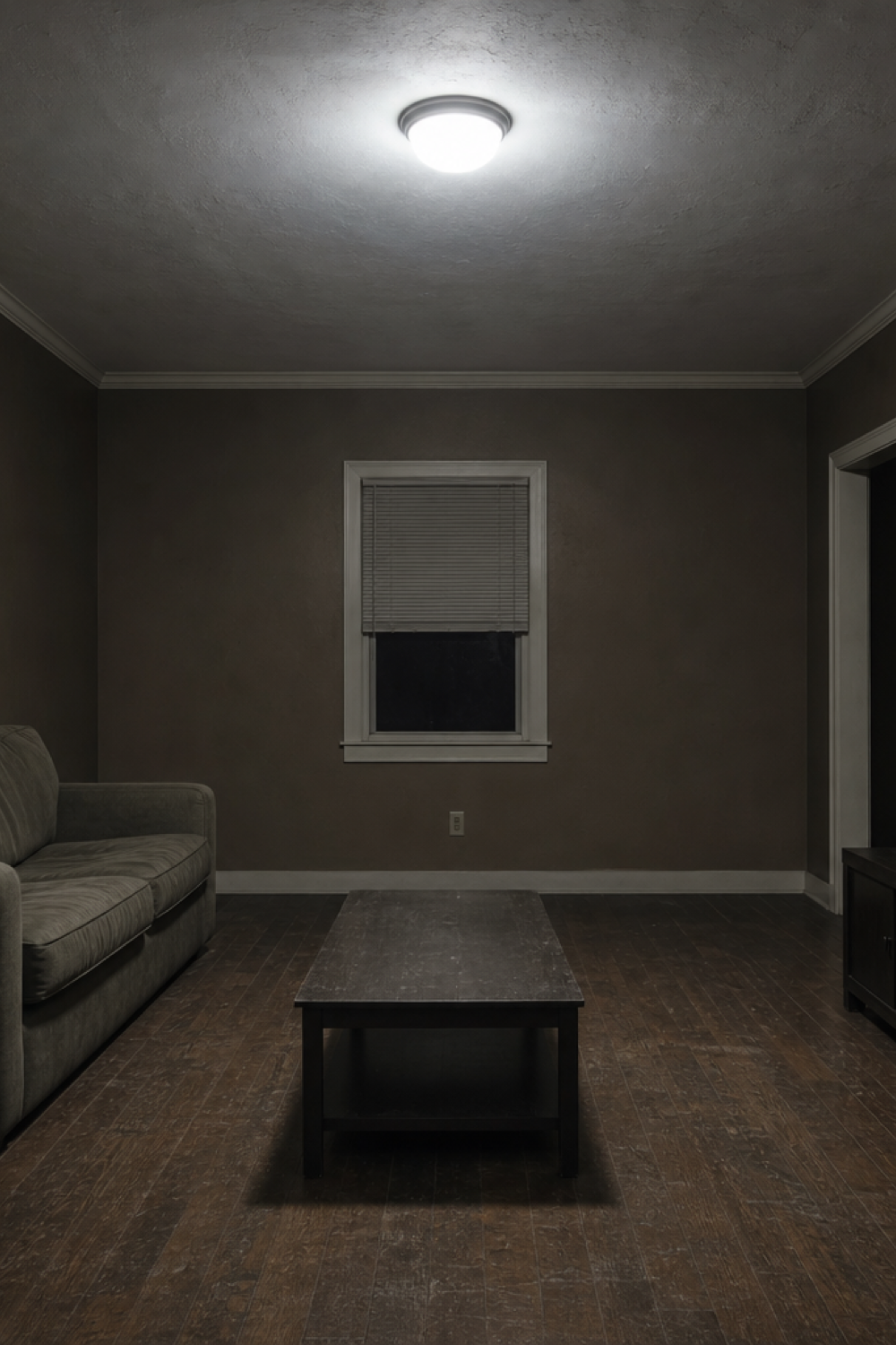 A living room lit only by a single cold ceiling fixture: even, grey and flat.